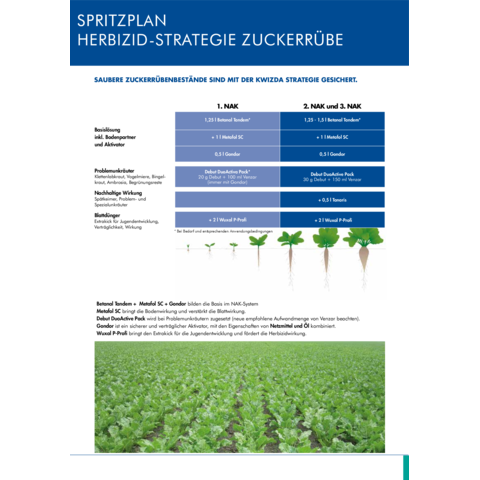 Spritzplan Herbizidstrategie Zuckerrübe 2023