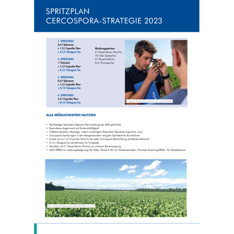Spritzplan Cercospora Strategie 2023